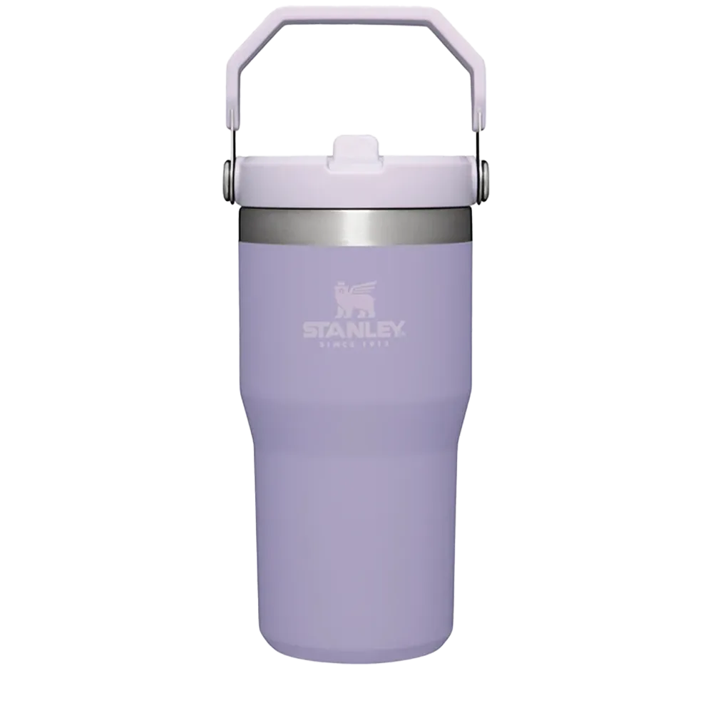 Stanley IceFlow™ Flip Straw Tumbler | 20 oz