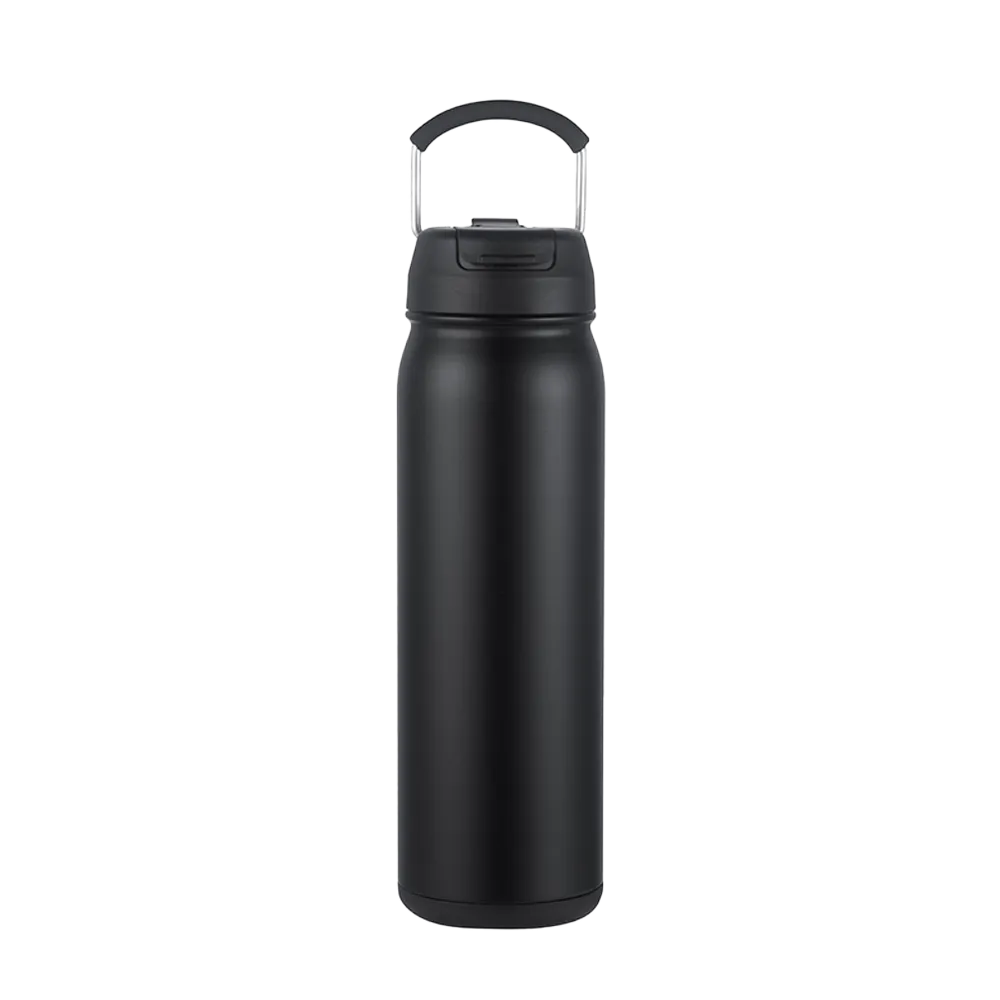Slate 24 oz Bottle with Dual Lid