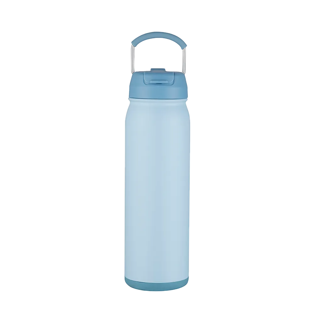 Slate 24 oz Bottle with Dual Lid