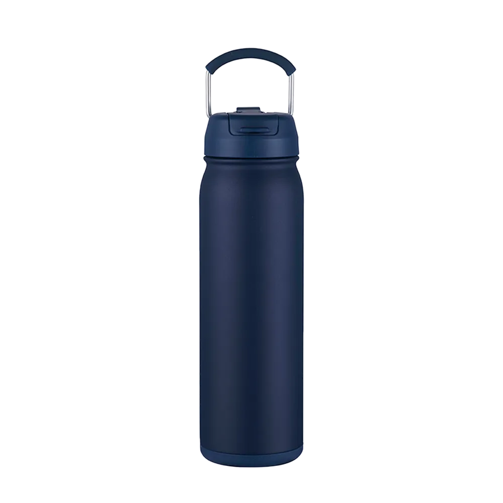 Slate 24 oz Bottle with Dual Lid