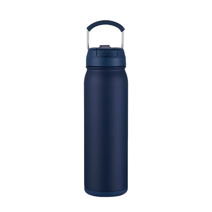 Slate 24 oz Bottle with Dual Lid