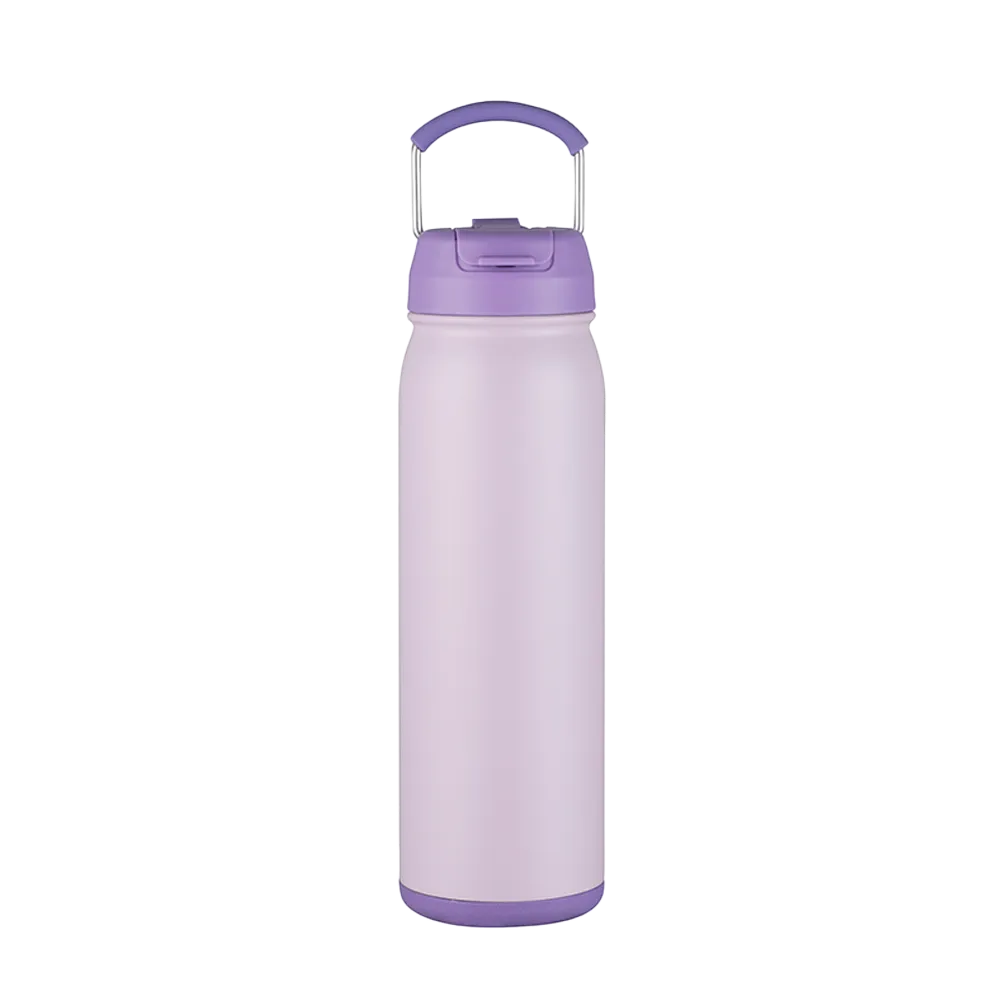 Slate 24 oz Bottle with Dual Lid