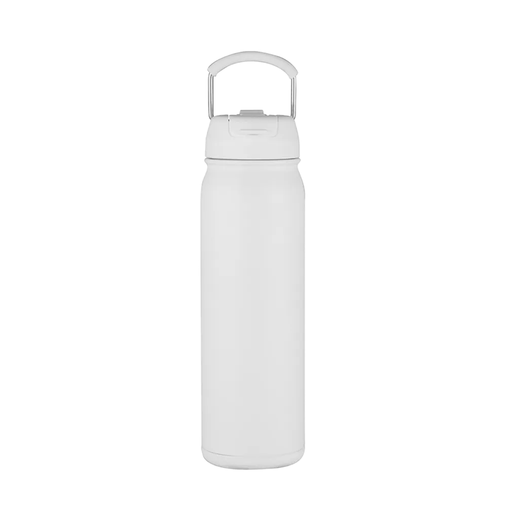 Slate 24 oz Bottle with Dual Lid