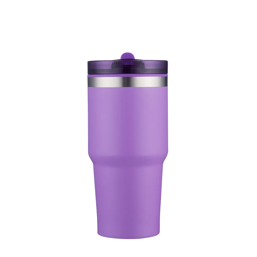 Slate 20 oz Tumbler with Straw Lid